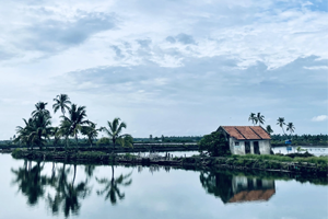 Kadamakkudy Panchayat